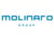 Color-Molinaro-Group